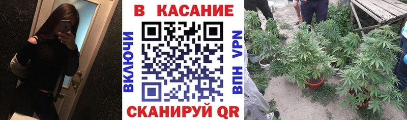 Наркотические вещества Тайга Канабис  Меф  Cocaine  ГЕРОИН  MEGA   ГАШ 