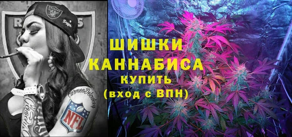 mix Богородск