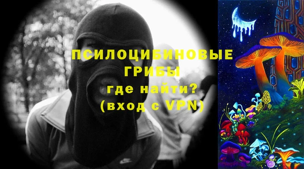 прущий лед Богородицк