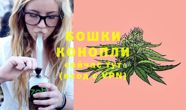 mix Богородск