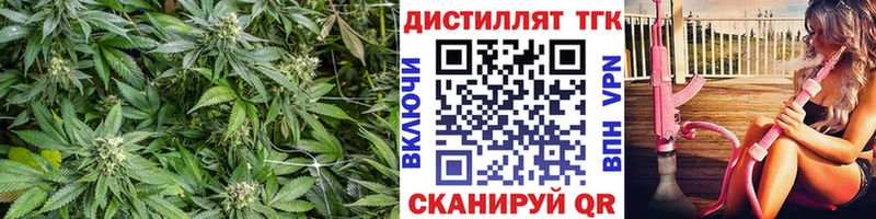 купить наркоту  Тайга  OMG ссылки  Дистиллят ТГК вейп 