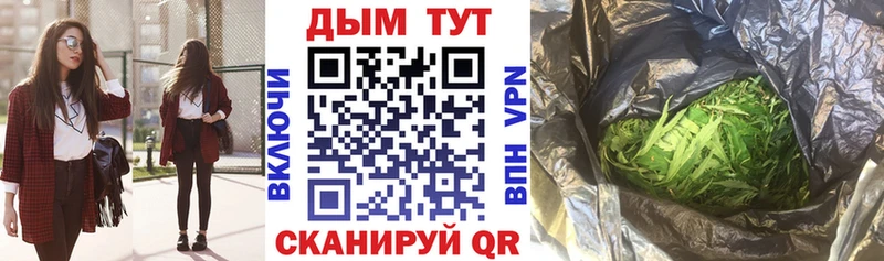 Канабис гибрид  Тайга 